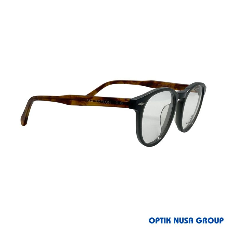 ALAIN DELON 3331 (2)