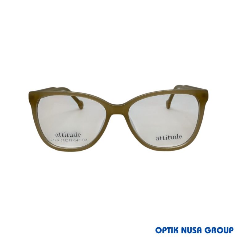 ATTITUDE 7170 BR (1)