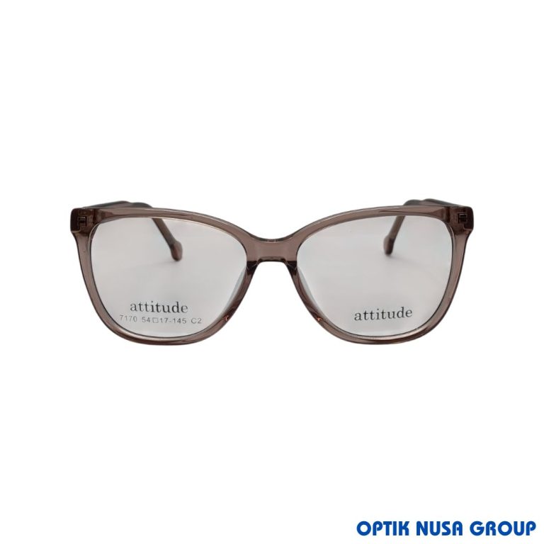 ATTITUDE 7170 PK (1)