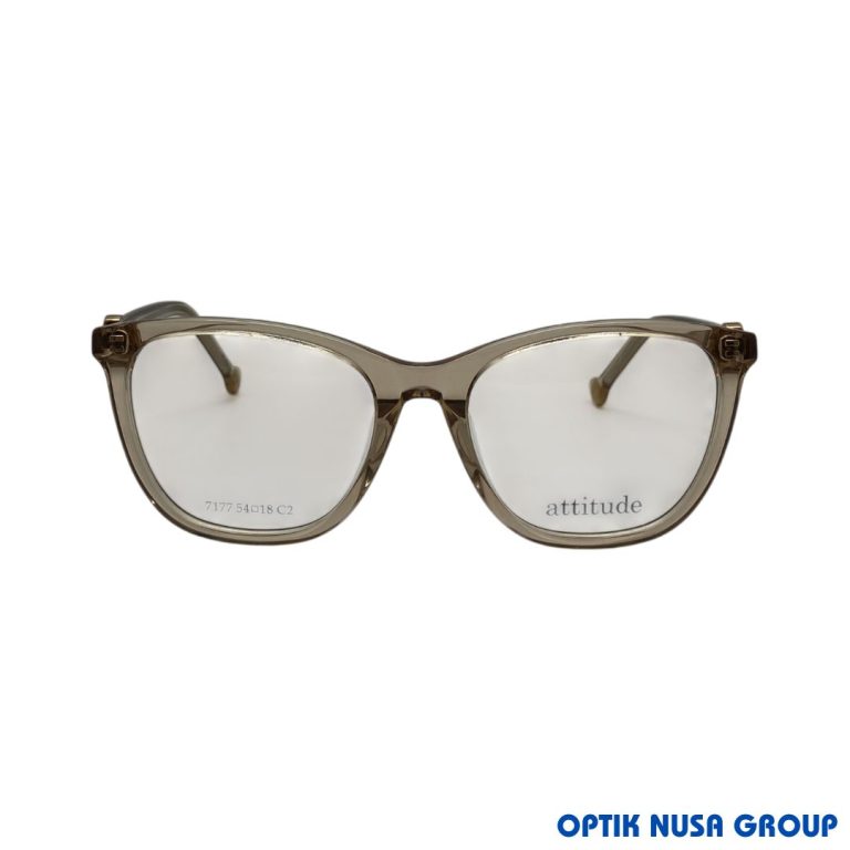 ATTITUDE 7177 BR (1)