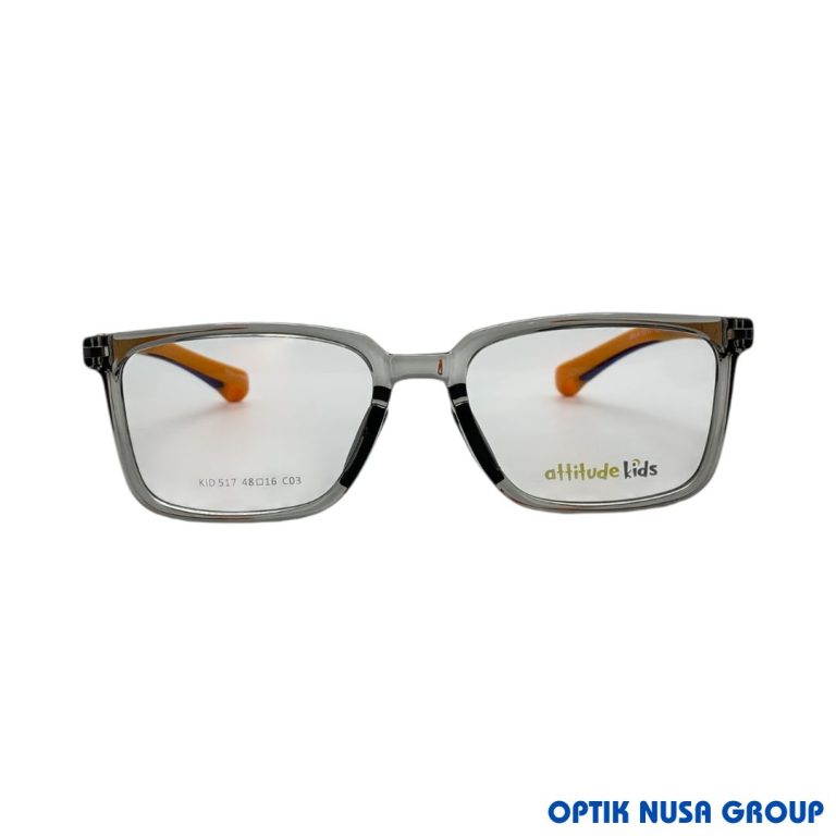 ATTITUDE KIDS 517 GN (2)