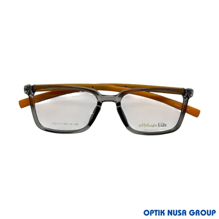 ATTITUDE KIDS 517 GN