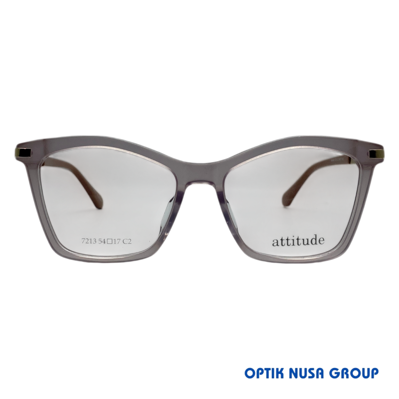 ATTITUDE 7213 C2 (1)