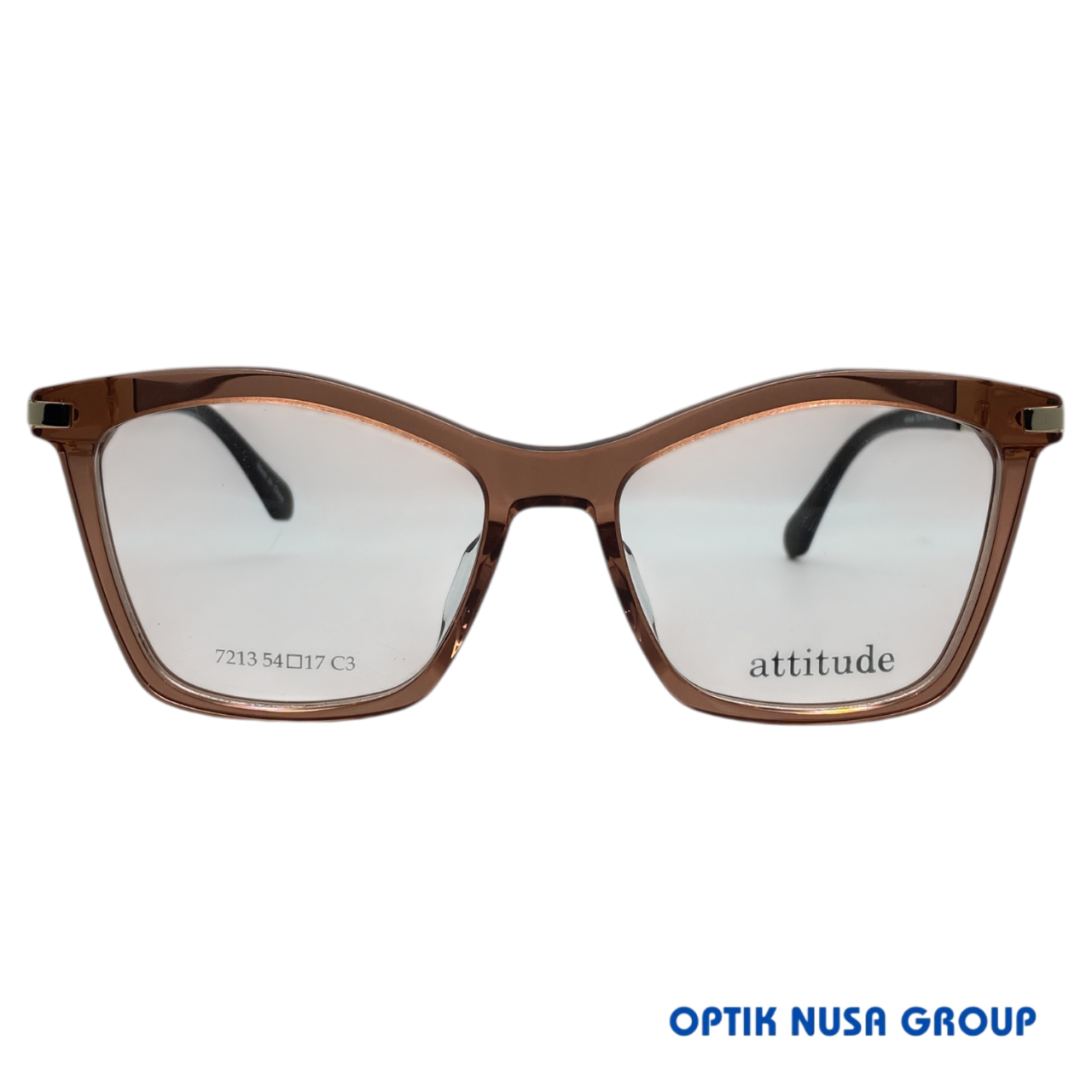 ATTITUDE 7213 C3 (1)